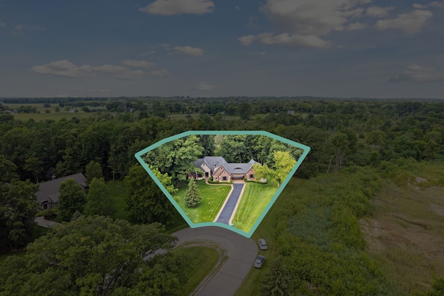 11599 Erins Way, Romeo, MI 48065 - view of subject property with a heavily wooded area and property parcel outlined