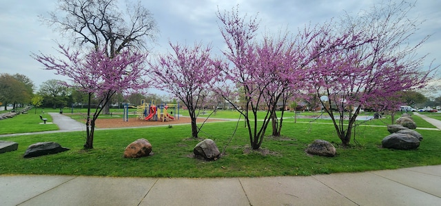 19950 Gilchrist St, Detroit, MI 48235 - view of home's community with a lawn and playground community