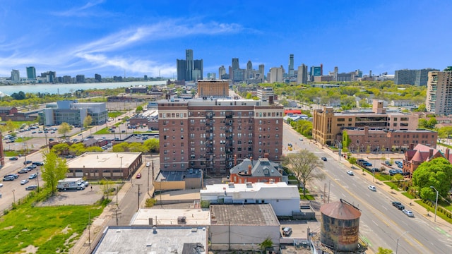 drone / aerial view of a view of skyline