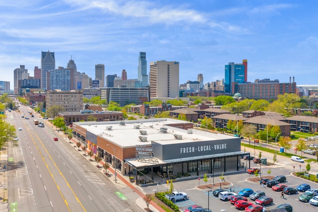aerial view of a skyline view