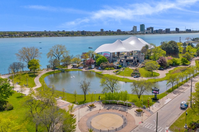 drone / aerial view of a large body of water and a skyline view