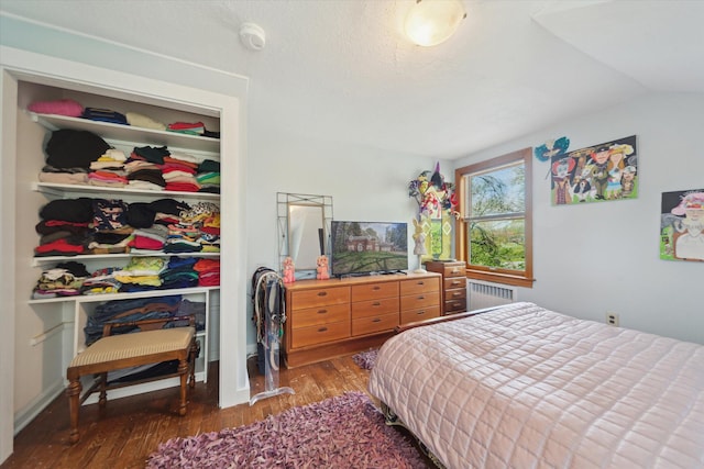 bedroom featuring vaulted ceiling, wood finished floors, radiator, and a closet