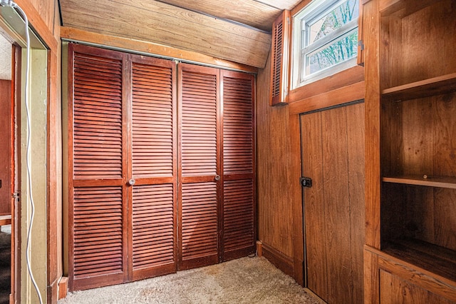 details featuring carpet floors and wooden walls