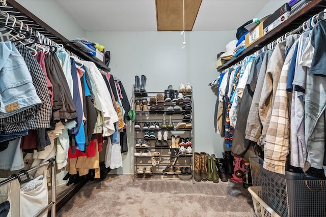 spacious closet featuring carpet flooring and attic access