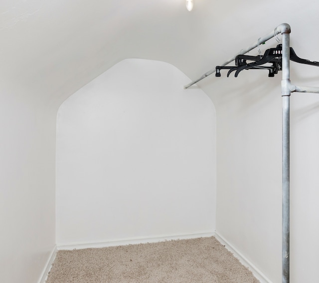 16516 Collingham Dr, Detroit, MI 48205 - walk in closet featuring carpet floors and vaulted ceiling