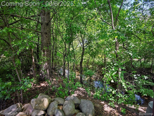 28210 Ridgebrook Rd, Farmington Hills, MI 48334 - view of wooded area