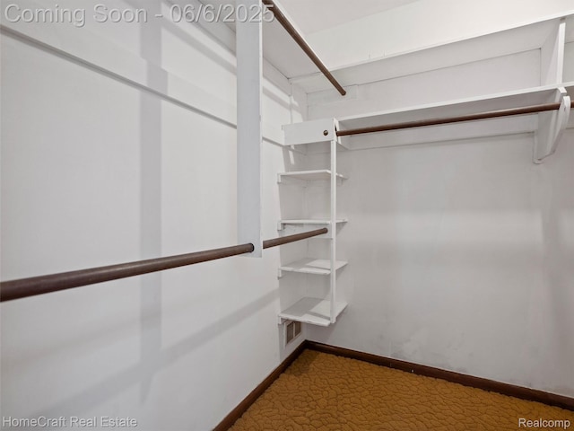 28210 Ridgebrook Rd, Farmington Hills, MI 48334 - walk in closet with carpet floors