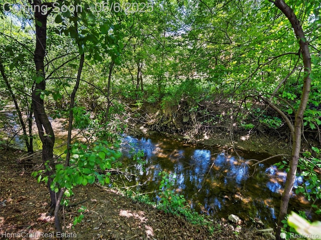 28210 Ridgebrook Rd, Farmington Hills, MI 48334 - view of local wilderness