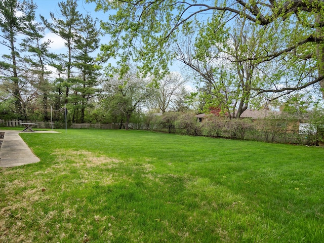 view of yard
