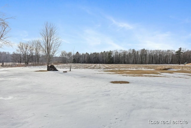 4731 N Osborn Rd, Riverdale, MI 48877 - view of yard featuring a wooded view