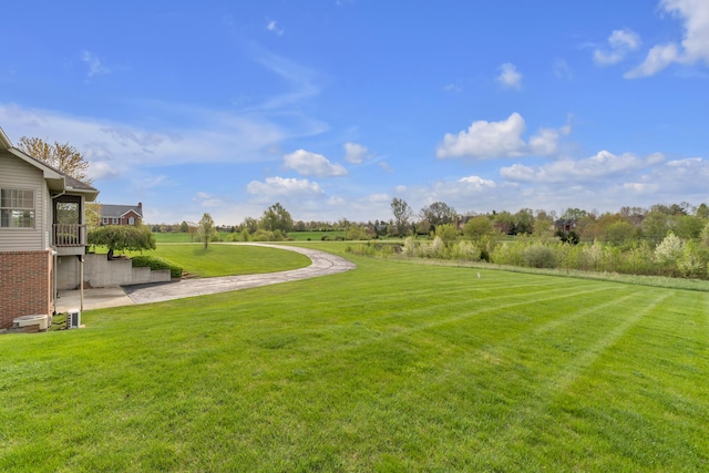 9080 Emerson Dr, Saline, MI 48176 - view of yard