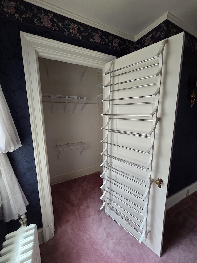 walk in closet featuring carpet and radiator