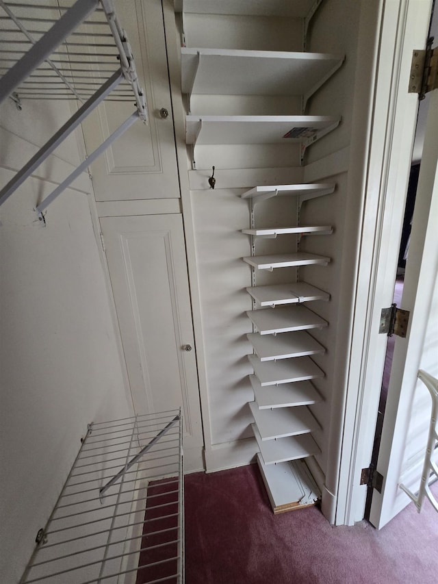 spacious closet featuring carpet flooring