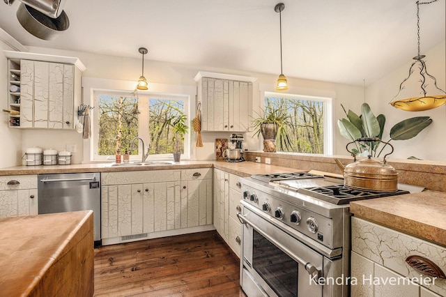 kitchen featuring appliances with stainless steel finishes, dark wood-style floors, a sink, and a wealth of natural light