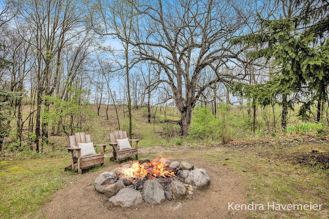 view of yard with an outdoor fire pit