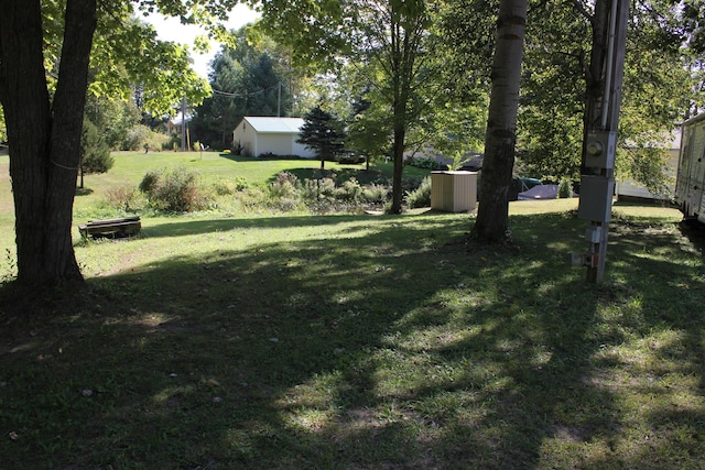 17980 1ST Callejon, Barryton, MI 49305 - view of yard