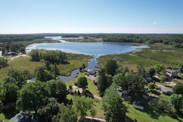 17980 1ST Callejon, Barryton, MI 49305 - bird's eye view featuring a view of trees and a water view