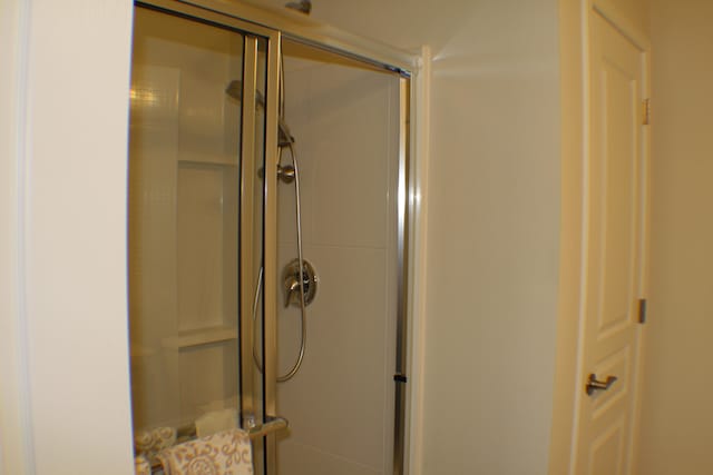 bathroom featuring a shower stall