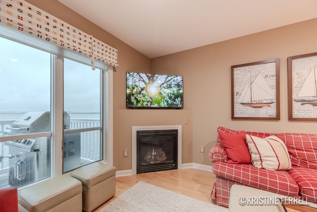 living area featuring baseboards, a glass covered fireplace, and wood finished floors