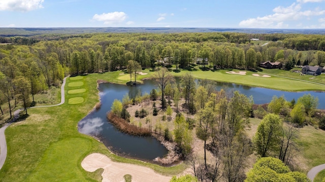 V/L43 Troon S, Bellaire, MI 49615