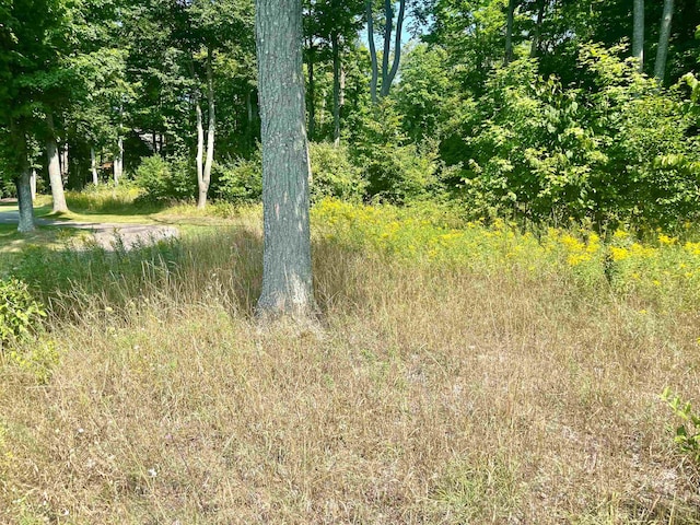 V/L43 Troon S, Bellaire, MI 49615