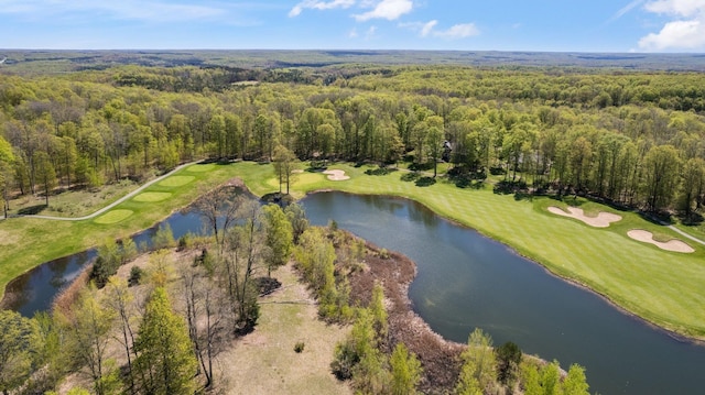 V/L43 Troon S, Bellaire, MI 49615
