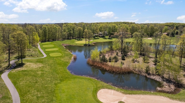 V/L43 Troon S, Bellaire, MI 49615