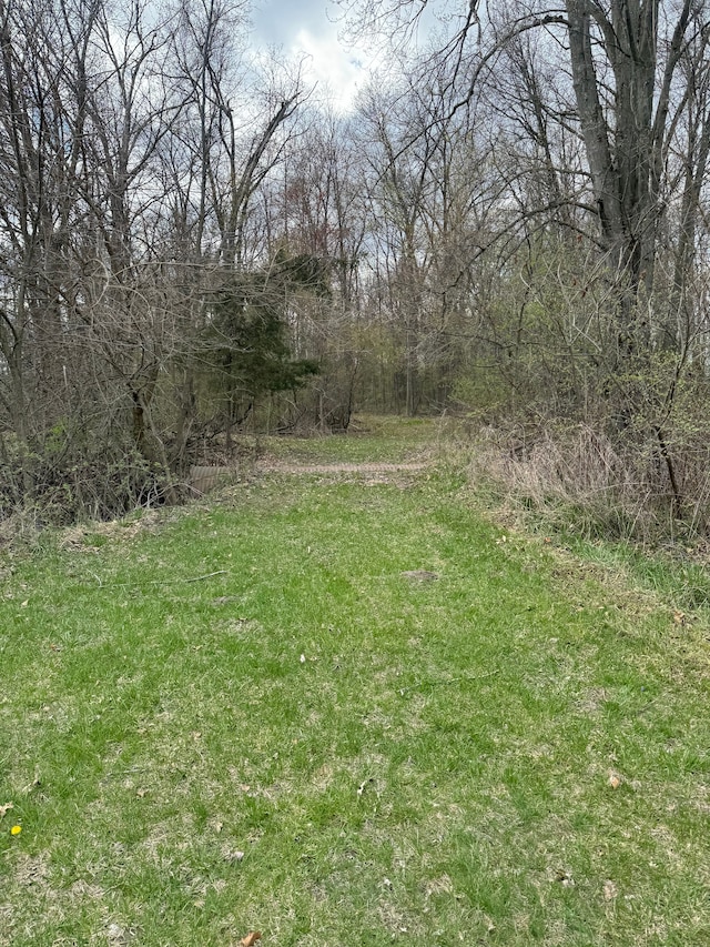 13423 Duffield Rd, Montrose, MI 48457 - view of yard