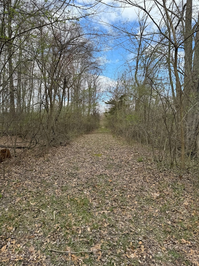13423 Duffield Rd, Montrose, MI 48457 - view of local wilderness