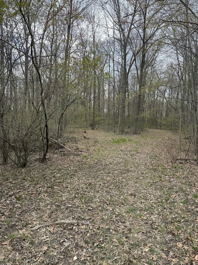 13423 Duffield Rd, Montrose, MI 48457 - view of local wilderness with a wooded view