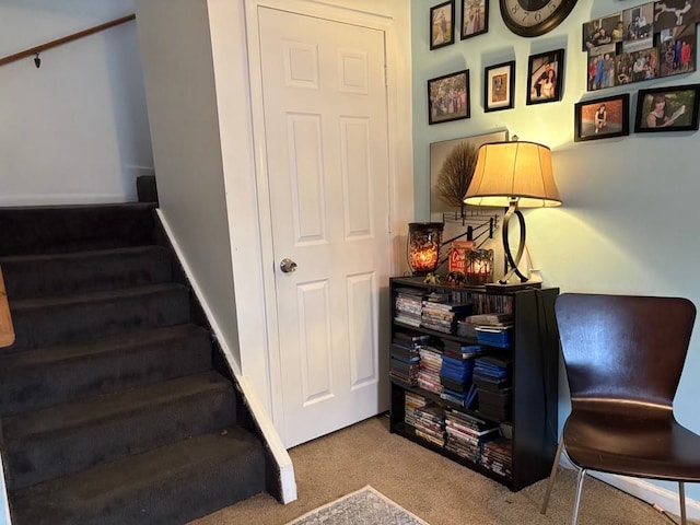 staircase featuring carpet flooring