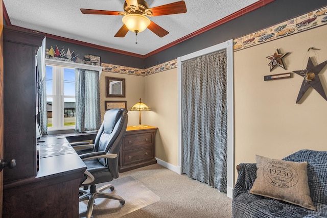 220 Nottingham Dr, Brooklyn, MI 49230 - office space featuring light colored carpet, a textured ceiling, a ceiling fan, baseboards, and ornamental molding