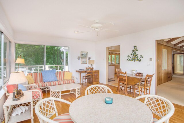dining area featuring ceiling fan and wood finished floors