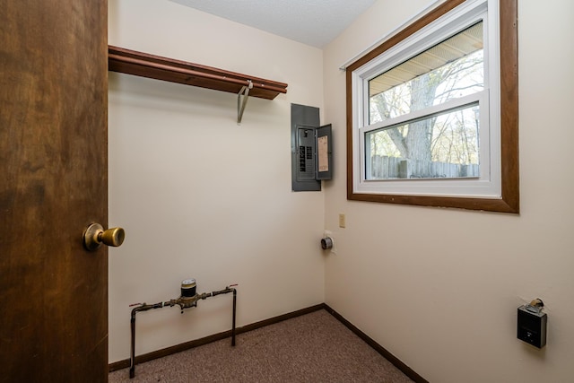 washroom with carpet floors, baseboards, electric panel, and laundry area