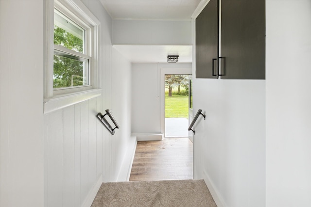 staircase with baseboards, carpet flooring, and wood finished floors