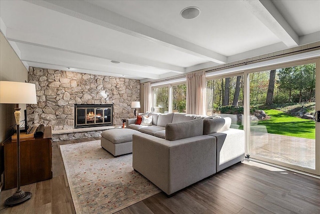 living room featuring wood finished floors, a wealth of natural light, beam ceiling, and a fireplace