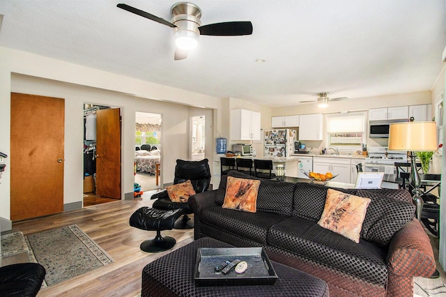 living area featuring ceiling fan and light wood finished floors