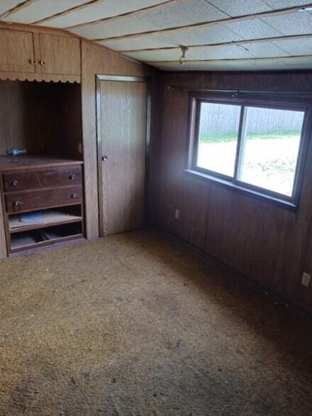 502 E Jerolene St, Sturgis, MI 49091 - unfurnished bedroom with carpet and wood walls