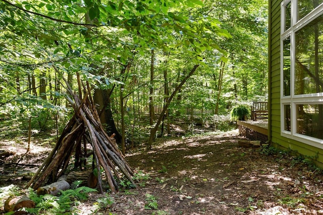 view of local wilderness