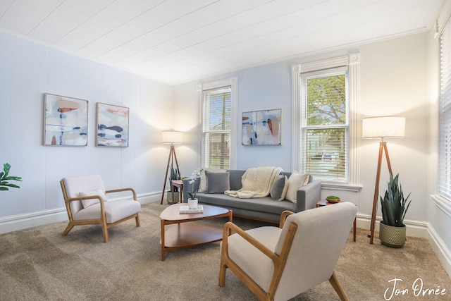 living room featuring crown molding and carpet flooring