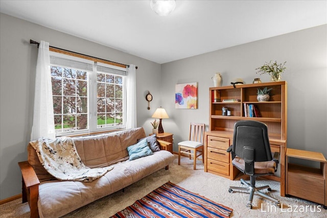 6332 Rush Creek Ct, Hudsonville, MI 49426 - home office with baseboards and carpet