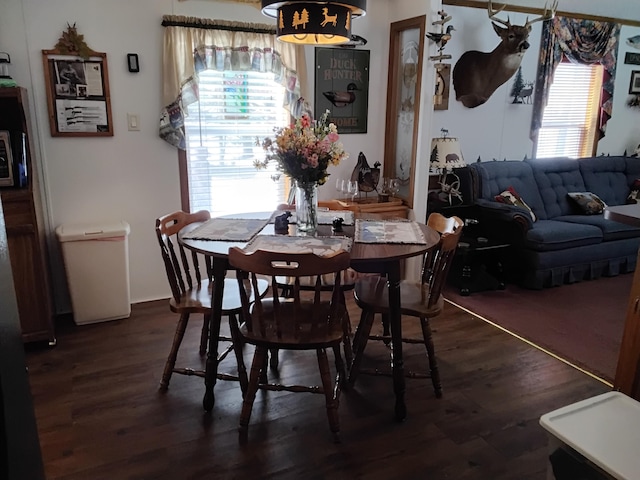 dining room featuring dark wood finished floors