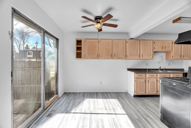 kitchen featuring light brown cabinetry, visible vents, a ceiling fan, and range