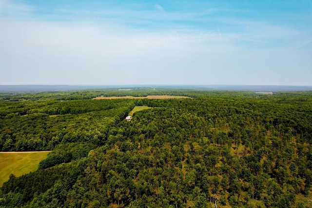 drone / aerial view with a view of trees