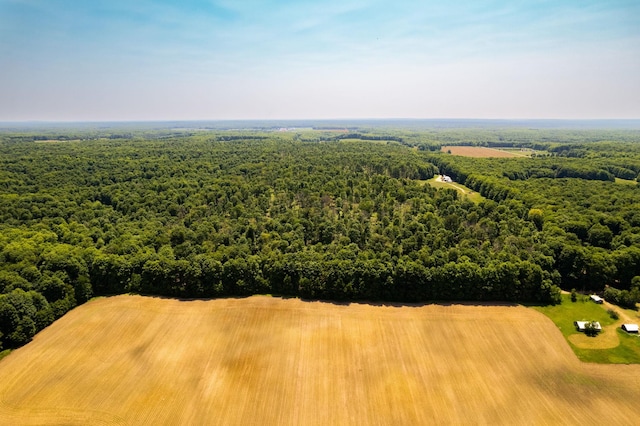 bird's eye view with a forest view