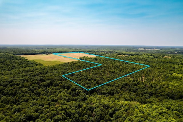 bird's eye view featuring a forest view