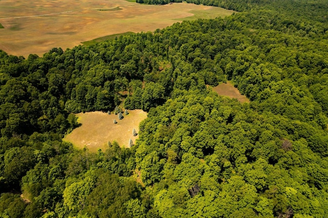 aerial view featuring a view of trees
