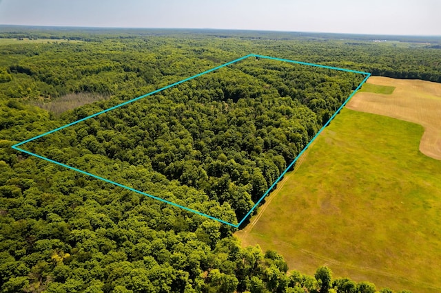 birds eye view of property featuring a wooded view