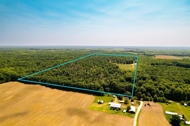aerial view with a view of trees