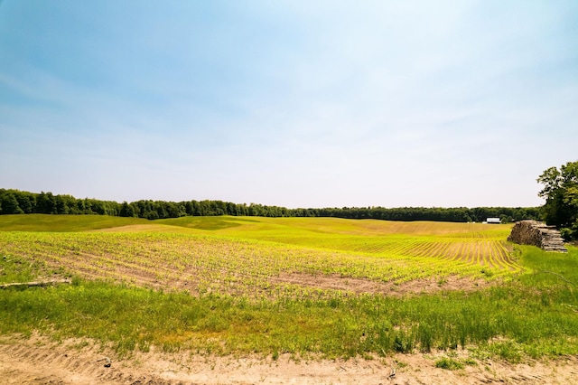 view of nature